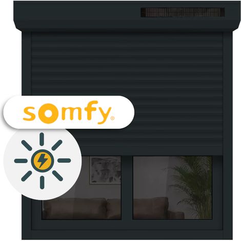Volet Roulant Solaire Motorisé Somfy Aluminium H160xL120 Anthracite 7016
