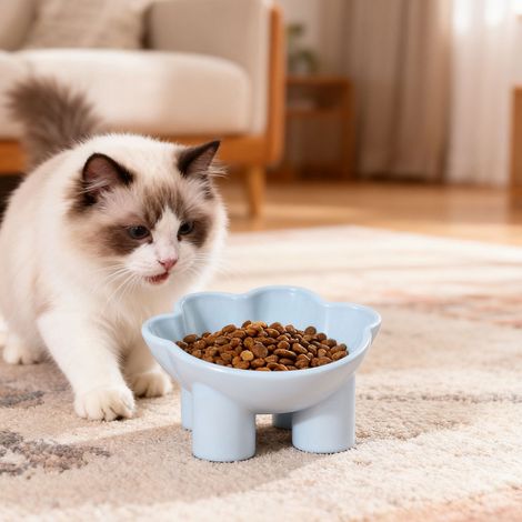 Erhöhter Katzennapf – Schräges Design verhindert Erbrechen und schont die Wirbelsäule Ihres Haustieres spülmaschinenfest – Geeignet für Wohnungskatzen und Welpen – Blau