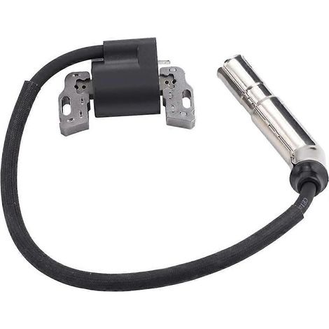 Armature de magnéto pour bobine d'allumage Briggs & Stratton 799650 592841 (1/4)