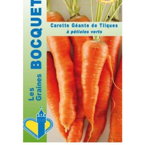Carotte 'Géante de Tilques' le sachet de 500 graines (1g) (1/2)