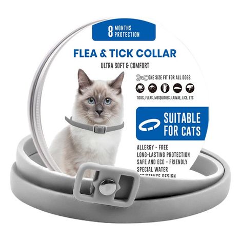 Collier anti-puces et tiques pour chat, répulsif naturel ajustable, protection longue durée 8 mois, imperméable et confortable