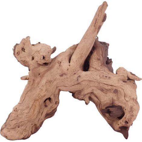 XL Mopani Wurzel Nr.4678 Holz Deko Aquascaping