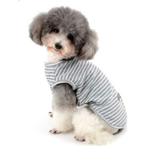 Tee-shirt rayé gris pour petit chien et chiot vêtement d'été respirant en coton doux (1/5)