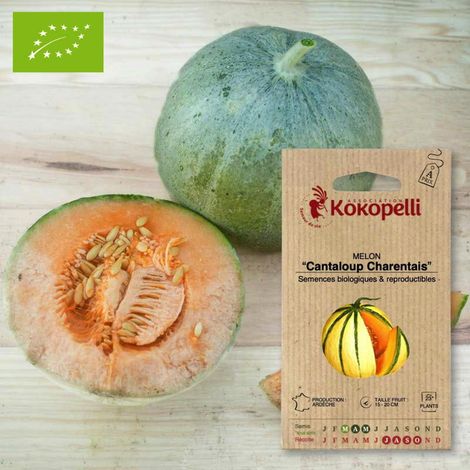 Melon Cantaloup Charentais
