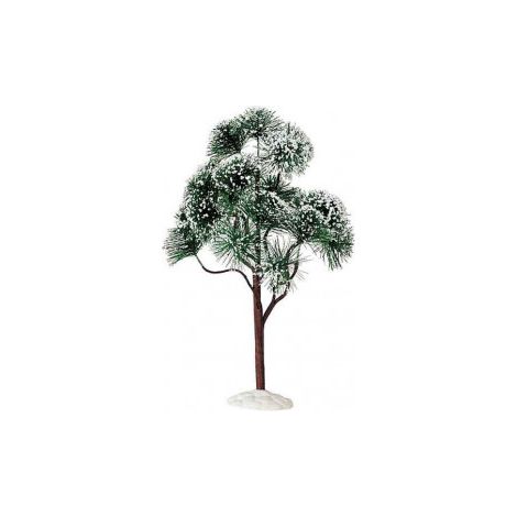 Mountain Pine, Extra Large Cod. 94391