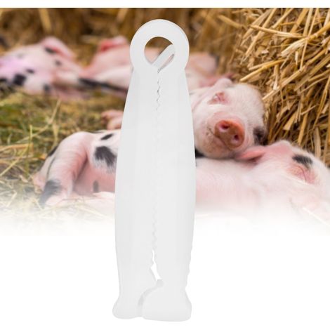 Kit de mise bas pour petits animaux (100 pinces à cordon ombilical jetables) (1/5)