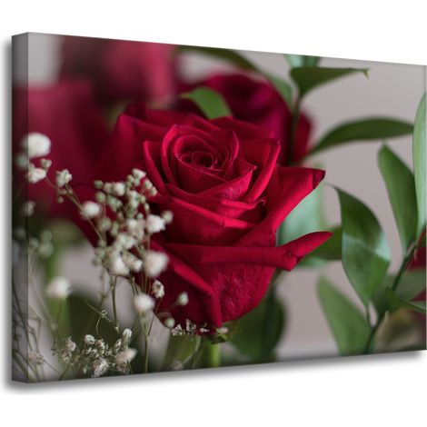 Leinwanddruck Botanische rote Rosen 70x50 cm
