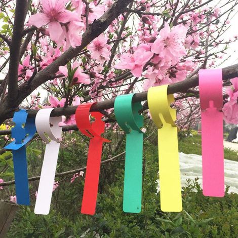 Étiquettes de plantes plastique 120 pièces, 6 couleurs, marqueurs d'arbre enroulables, étiquettes de jardin réglables, zone d'écriture large, pour pépinière et jardinage. (1/5)
