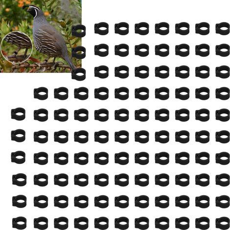 Lot de 100 bagues d'identification pour pigeons (8 mm), sans inscription, noires. (1/5)
