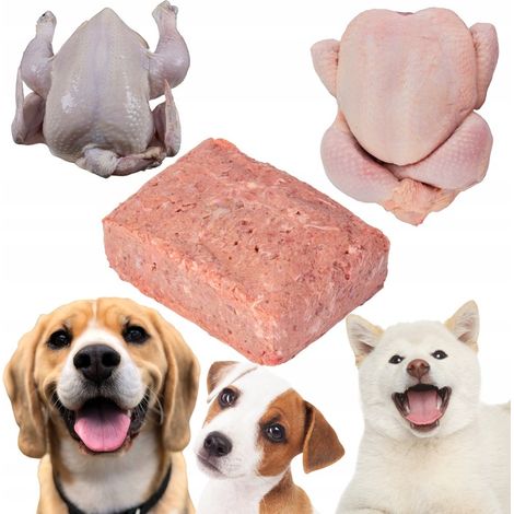 Cibo umido per cani, carne cruda, carcasse di pollame congelate, vitamine, BARF 10 kg