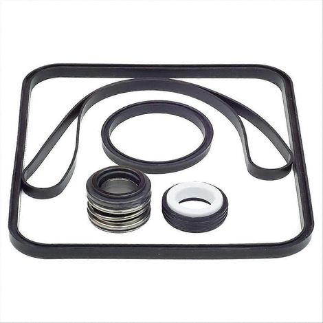 Ersatzdichtung für SPX1600TRA SP1600Z2 Pumpe (1/5)