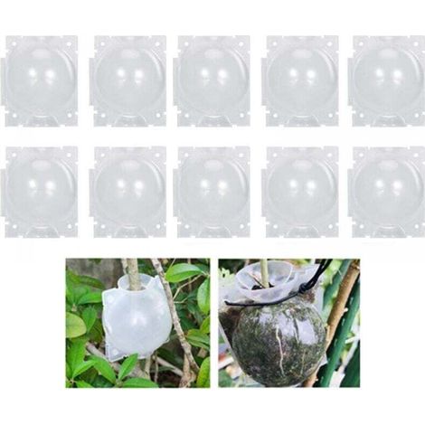 10 boules d'enracinement pour plantes - Boîte de greffe de jardin - Boîte d'enracinement pour semis - Boules de semis - 8 cm, Transparent (1/4)
