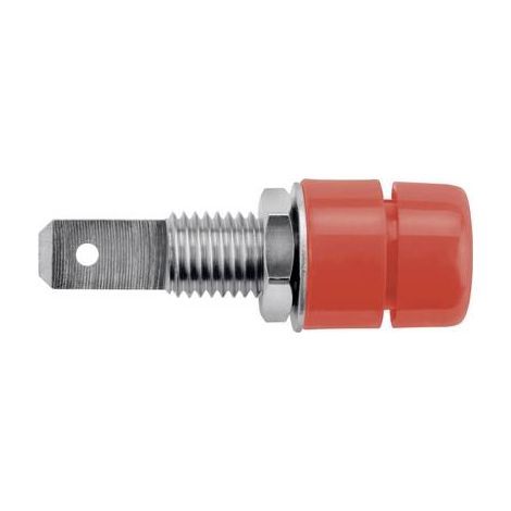 Schützinger IBU 5568 Ni / RT Prise encastrée rouge 1 pc(s) Y150472 (1/2)