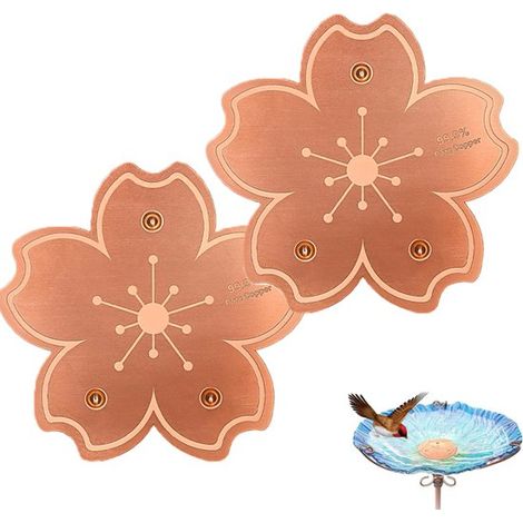 2 dischi di rame per vaschette per uccelli, 10 cm, pulitori per vaschette per uccelli, sicurezza per gli uccelli, prevenzione delle alghe, decorazione in rame, mantengono l'acqua pulita per gli uccell (1/5)