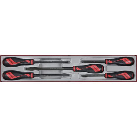 Jeu de tournevis TTX4 tray Plat- PH 5 pièces Teng Tools TTXMDTN (1/2)