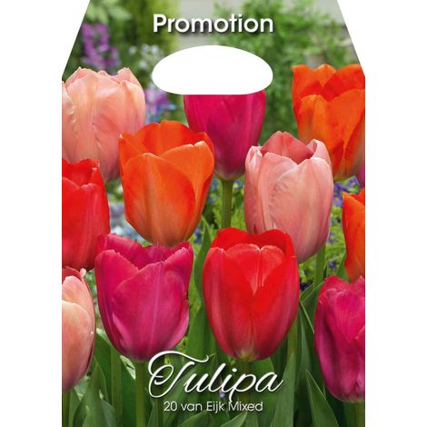 Mix Bulbi di Tulipano van Eijk 20 Bulbi