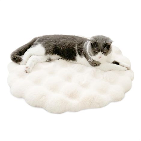 Coussin Chien Intérieur, Tapis Chien Lavable, Panier pour Chien 40 40cm, Coussin pour Chien pour Chiot, Lit Chien Donut, Matelas Chiens Rond, Dog Bed Moelleux (1/5)