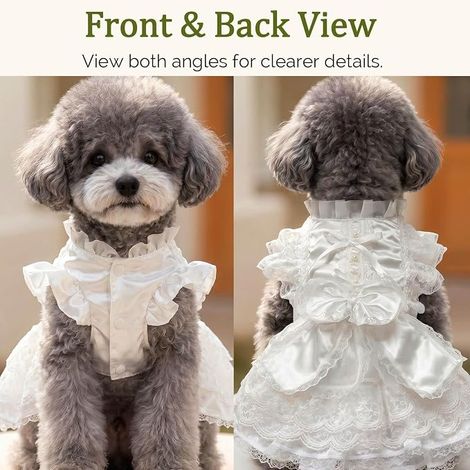 Robe pour Chien Robe Dentelle pour Petit Chien Robe avec Nœud Tenue de Cérémonie pour Mariage Anniversaire Séance Photo XS (1/4)