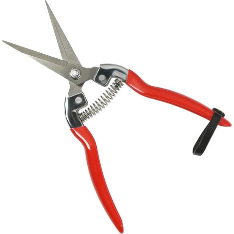 Sécateur de Jardin en Acier Inoxydable, Ciseaux pour Fleurs Manche PP Léger, Verrou de Sécurité, Idéal pour Taille de Branches Fines, Bonsaï et Arrangement de Fleurs (1/5)