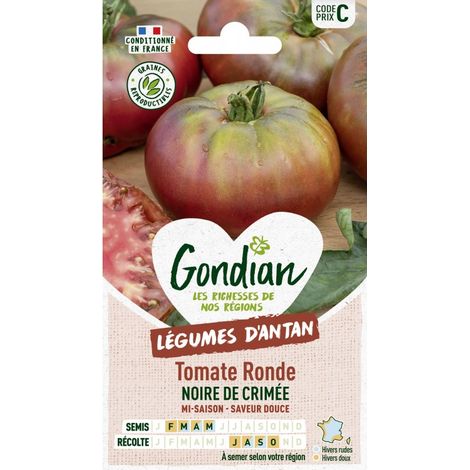 Gondian - Tomate ronde noire de crimé (1/2)