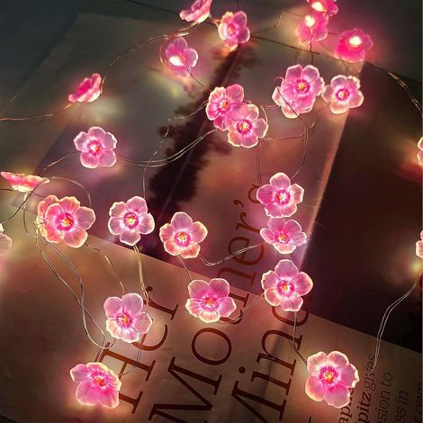Guirlande Fleurs De Cerisier - 2 M - 20 Led - Intérieur Extérieur - Chambre Enfant Jardin Terrasse - 1 Pièce (1/5)