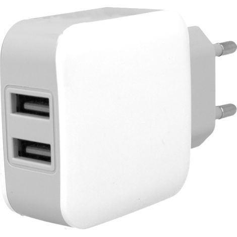 Caricatore 2 Porte USB 5V 2,1A Ricaricabatteria USB Ricarica Veloce (1/2)