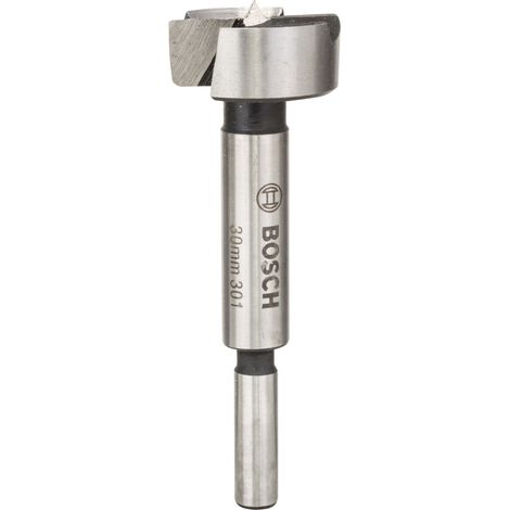 Bosch Metal/wood drill bits Forstner Drill Bit DIN 7483 G 2609255289 (1/3)