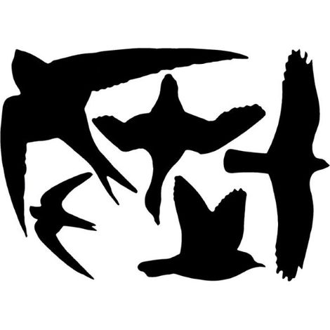 Stickers oiseaux pour fenêtre