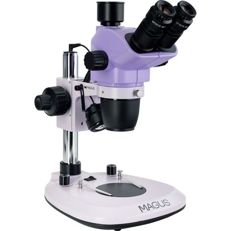 Stereomicroscopio MAGUS Stereo 8T (1/5)