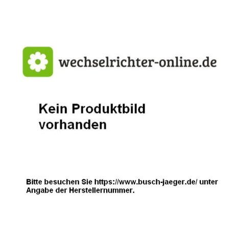 Busch-Jaeger Einputzhilfe 41385PB-03 Gr. 1/5