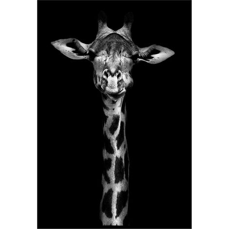Affiche encadrée girafe en noir et blanc sur fond noir (1/5)