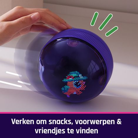 Bitzee, Il tuo Criceto Interattivo, Hamster Ball con oltre 20 criceti all'interno da collezionare, rotola e reagisce al tocco, cucciolo digitale e giocattolo per bambini e bambine dai 5 anni in su (1/4)