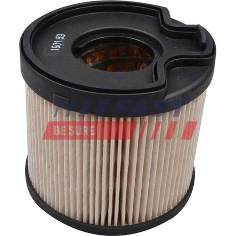 Kraftstofffilter FT39068 schnell
