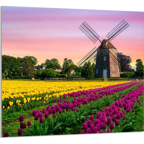 PANNELLO IN VETRO PER CUCINA 65x60 Meadow (1/5)