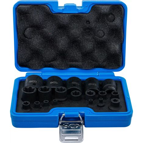 Jeu clés douille BGS Torx Plus noir 19 pièces (1/5)
