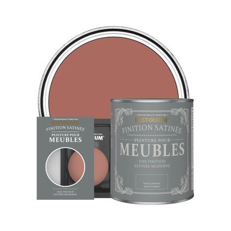 Peinture pour Meubles Finition Satinée - Saumon (1/3)