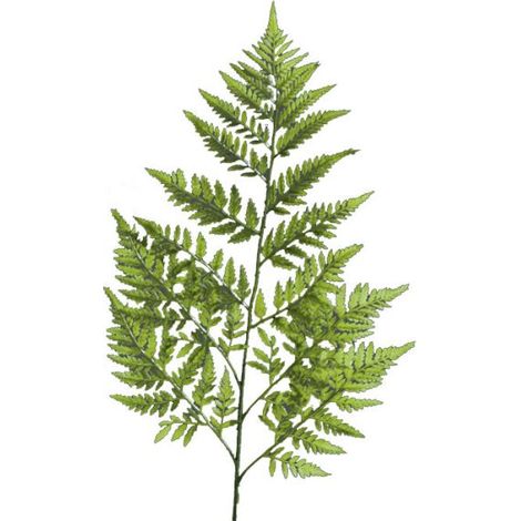 Feuille branche de Fougère artificielle des forêts H 78 cm superbe