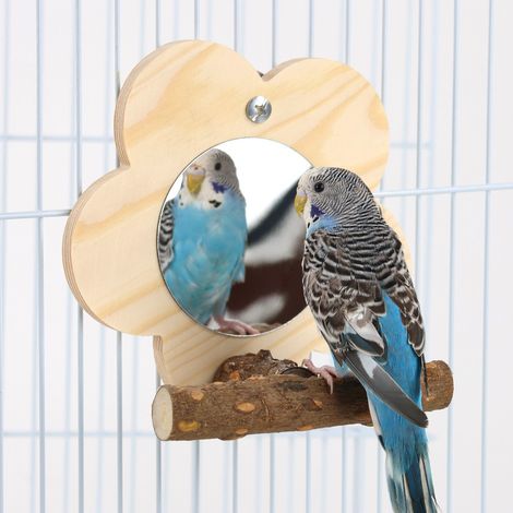 Miroir pour oiseaux avec bâtonnet en bois, plateforme ludique pour cage à oiseaux (1/5)