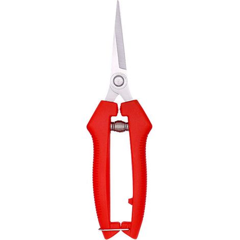 Secateurs En Acier Inoxydable - Tête Allongée - Pour Taille D'Arbres Fruitiers Et Bonsaï - 20 cm - 1 Pièce (1/5)