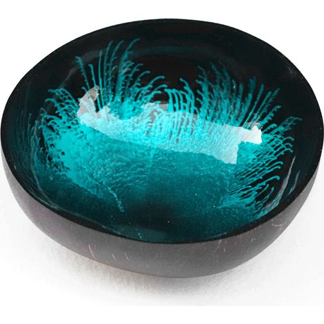 Bol décoratif Kaloogo Cocobowl Splash en noix de coco (bleu, poli)
