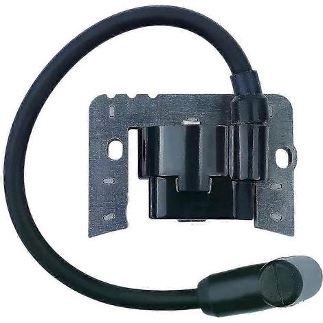 Module de bobine d'allumage compatible avec Tecumseh 37395 OV691EA OV691EP TVT691 VTX691 (1/5)