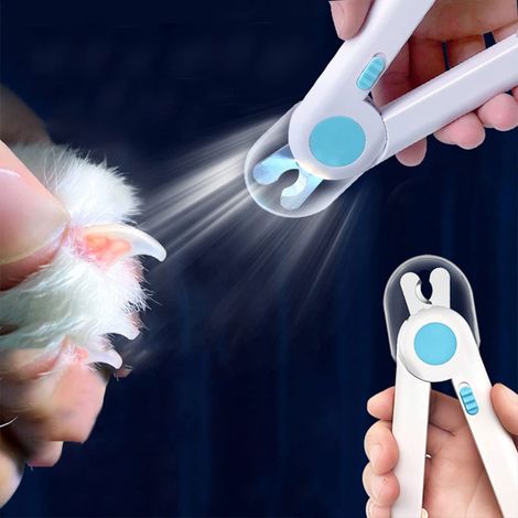 Coupe Ongles Chat, Ligne de Sang LED Coupe Ongles Animaux, Ciseaux Griffes Chien Professionnels, avec Lime à Ongles, Protection aux Éclaboussures, pour Petits Hamster, Lapins, Chaton(bleu)