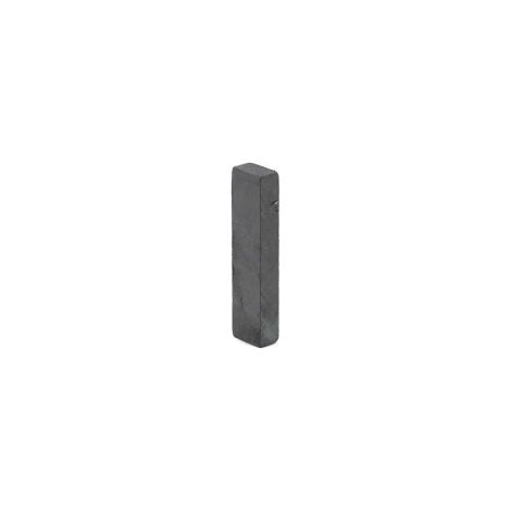 Aimant (4825250185) Réfrigérateur, congélateur BEKO, GRUNDIG