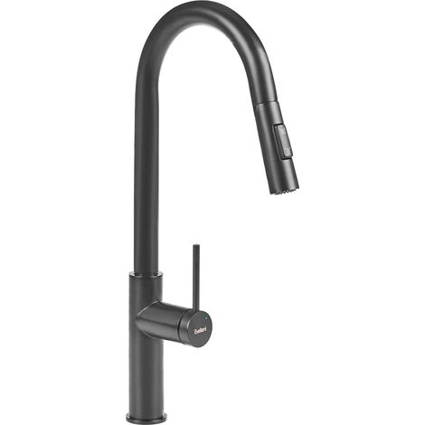 Kitchen Tap Black Stainless Steel Pull Out Mixer Spring Coil Faucet with Flexible Spring Hose PARANAM (1/5)