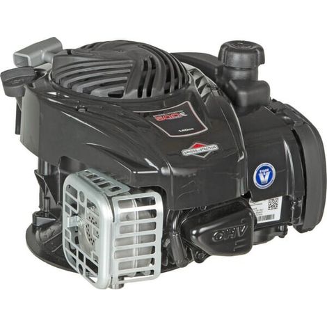 Moteur BRIGGS ET STRATTON 09P6020014H5 (1/5)