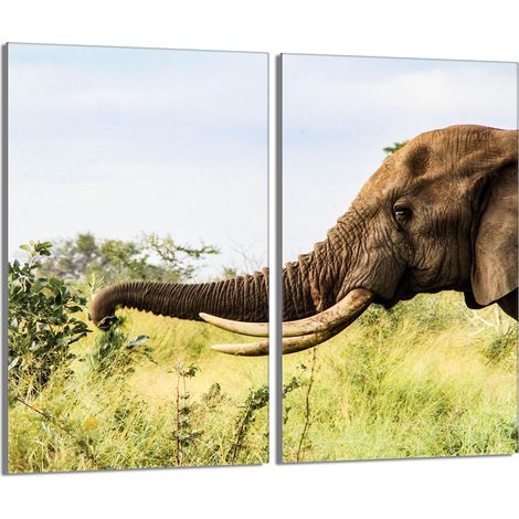 Glasschutzplatte für den Herd 2x30x52 Elefant (1/5)