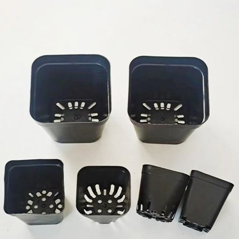 Pots de semis carrés noirs (5,5 cm) - 50 pièces - Kit de jardinage pour semis de fruits et légumes (1/4)