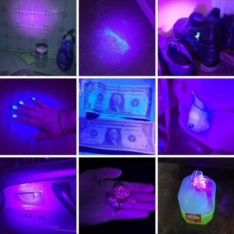 Lampe de Poche UV 395nm LED Lumière Noire Torche pour Détecter des Taches sur les Vêtements/Moquettes/Tapis/Traces d’Urine Animal (1/4)