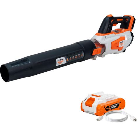 Souffleur sans fil RURIS 1224e POWER ALFA UP 20V - Vitesse air 40 m/s - Débit 570 m³/h - Fonction Turbo - Avec Batterie (1/5)