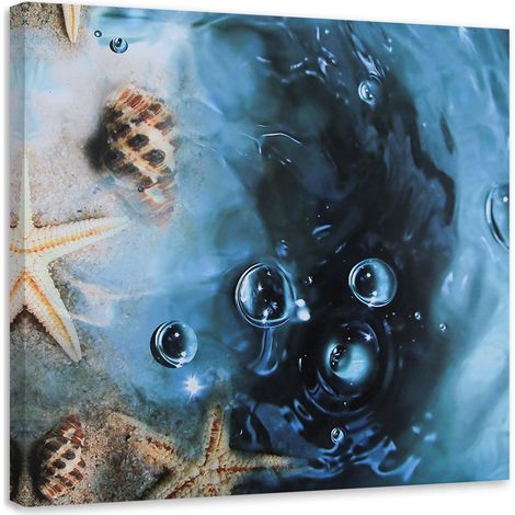 Cadre déco Coquillages Mer Nature Eau 60x60 (1/5)